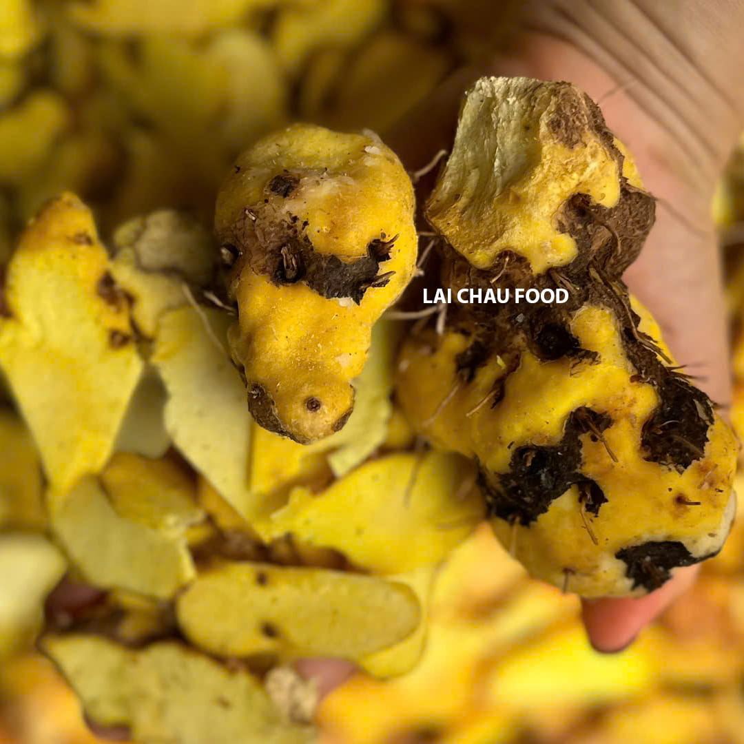 Nần nghệ Lai Châu Tây Bắc