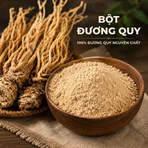 Bột đương quy Lai Châu nguyên chất