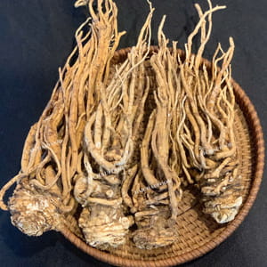Đương quy khô Lai Châu