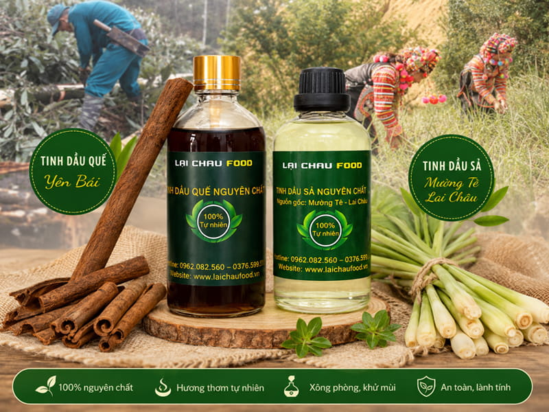 Combo tinh dầu sả, tinh dầu quế nguyên chất