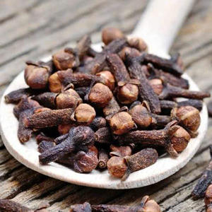 Nụ đinh hương khô