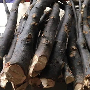 Sâm béo đen tươi Lai Châu