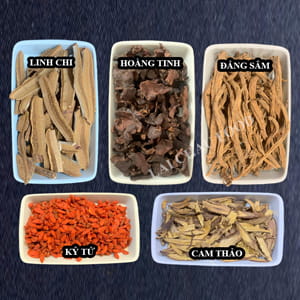 Combo Nấm Linh Chi 5 Vị Thảo Mộc Dưỡng Sinh