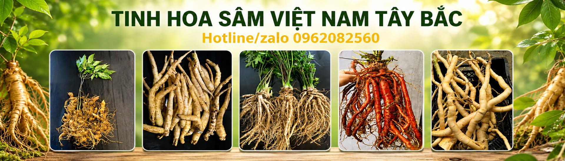Slide-sam-viet-nam-tay-bac-1