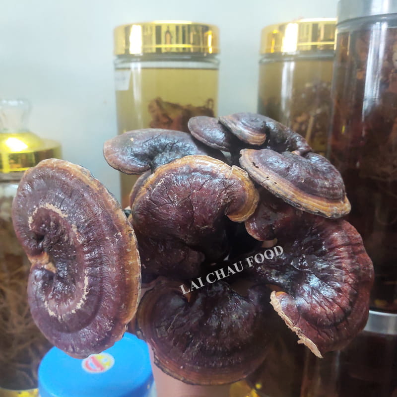Nấm Lim Xanh Rừng Khô Tây Bắc Thái Sẵn - Túi 300g