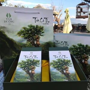 Hộp Trà Cổ Thụ Sà Dề Phìn Lai Châu